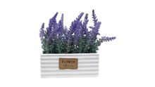 Product image of Nisse ხელოვნური ლავანდა თეთრი ქოთნით