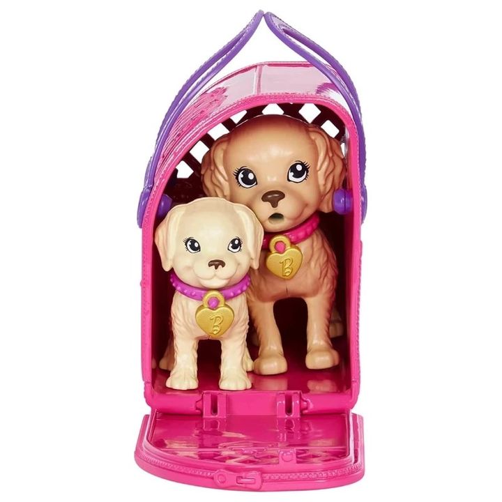 mattel-hkd86-barbis-satamasho-nakrebi-lekvis-aqvana-photo-4