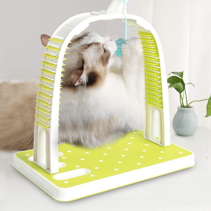 all-for-paws-katebis-satamasho-photo-4