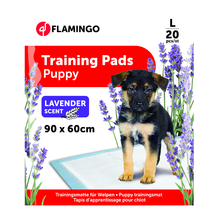 flamingo-satsrtvneli-safeni