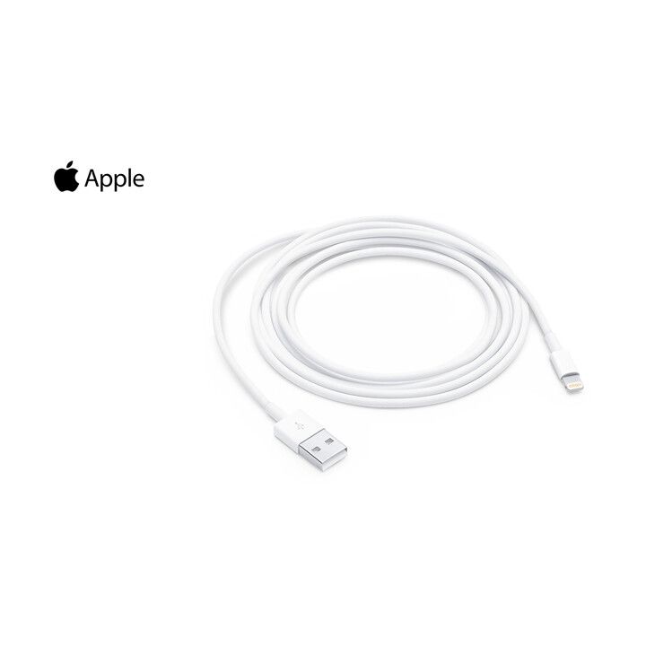 apple-md819-a1510-lightning-to-usb-cable-2m