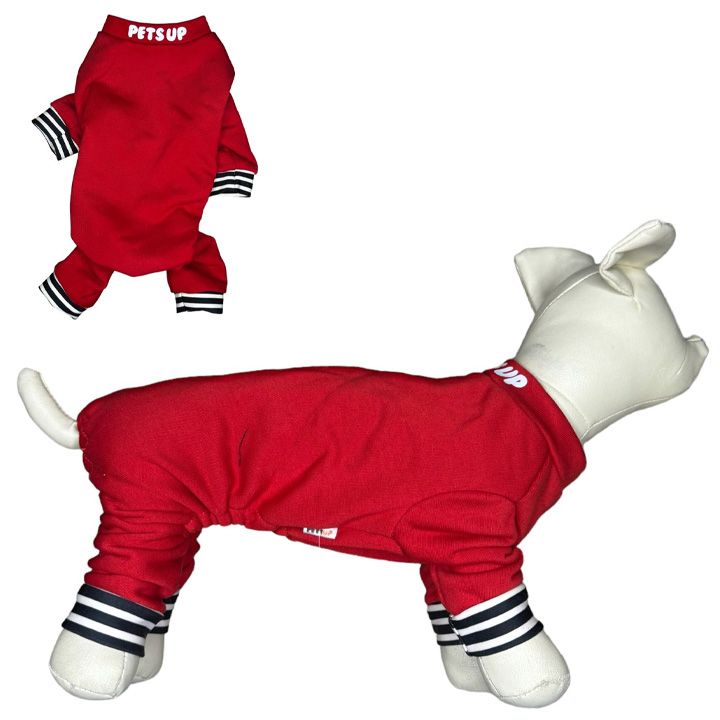 petsup-dzaghlis-katis-tansatsmeli