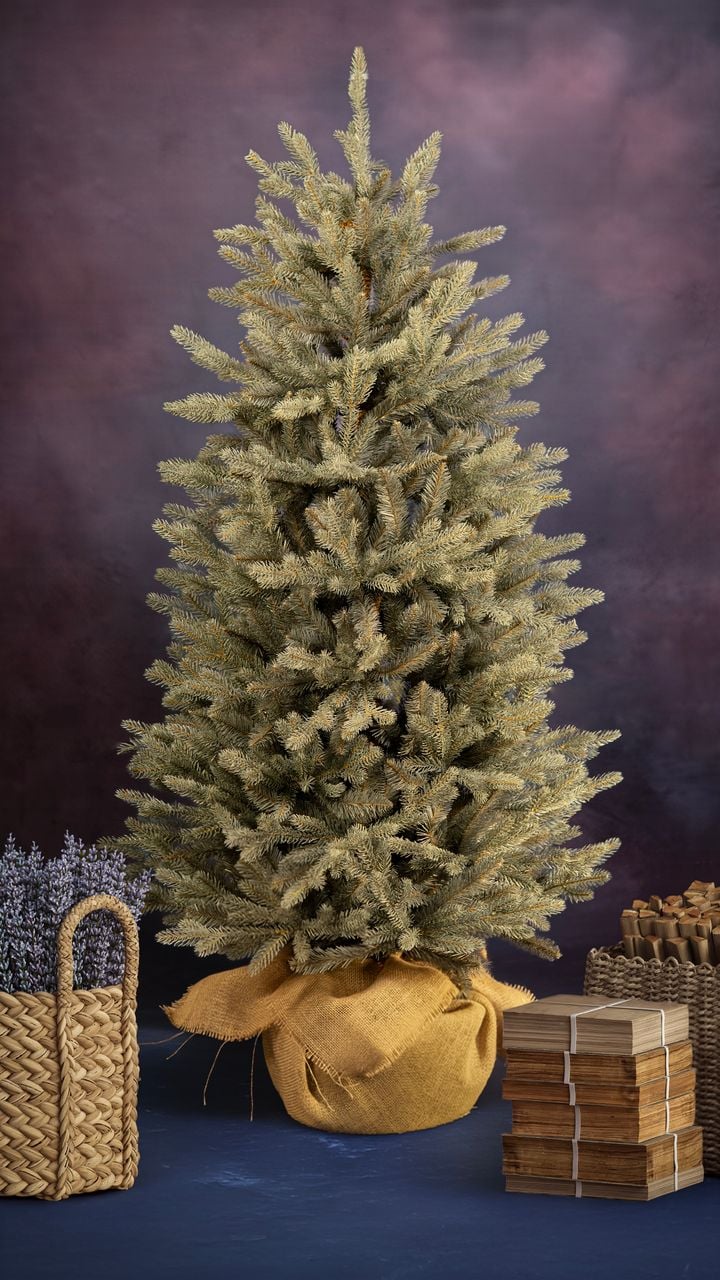 kdema-150sm-qotani-snaptree---dizaineruli-nadzvis-khe-shako-da-ninosgan-photo-2