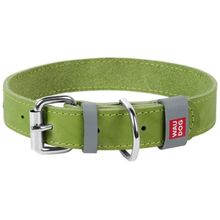 Product image of COLLAR ძაღლის საყელო