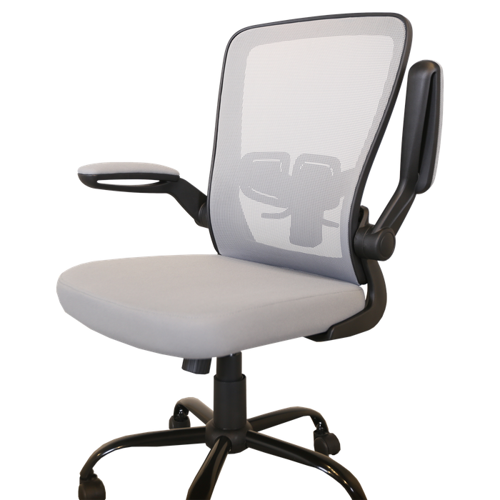 my-office-savardzeli-photo-3