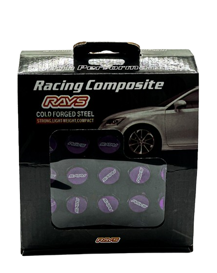 rays-20ts-diskis-samagri-mkvetara