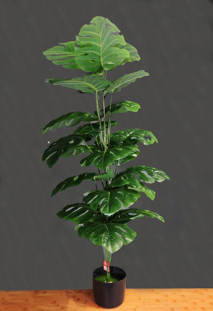 khelovnuri-mtsenare---14m-didi-fotlebit