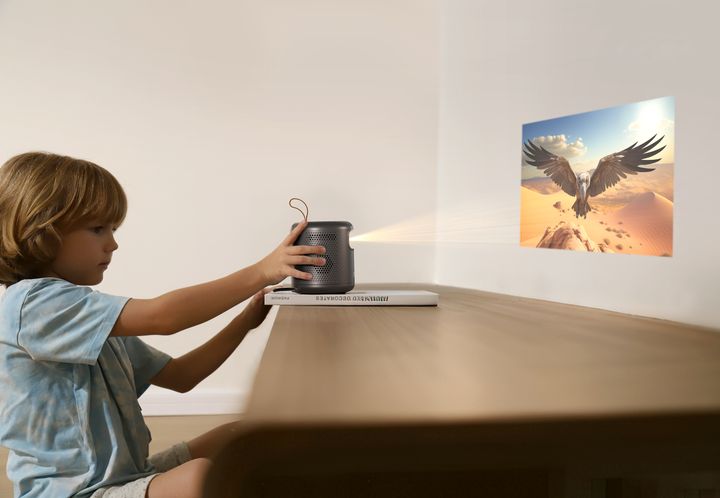 dolphin-projector-portatuli-proeqtori-photo-4