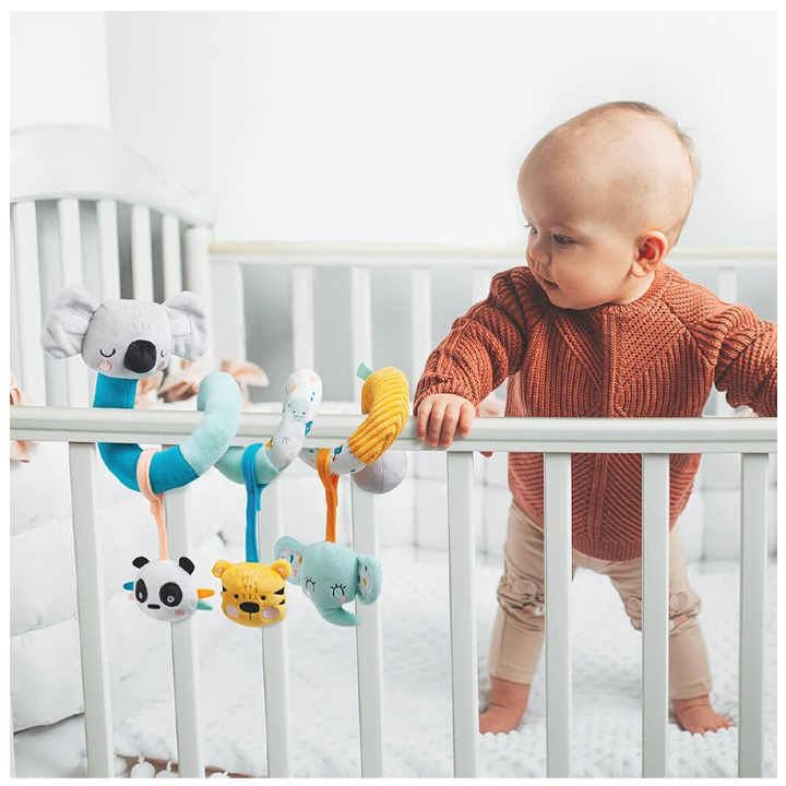 eurekakids-cucu-spiral-satsolze-dasamagrebeli-satamasho-photo-3