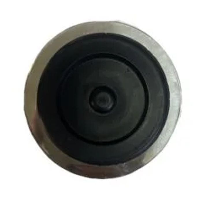 salonis-tavsabanis-sifoni-photo-3