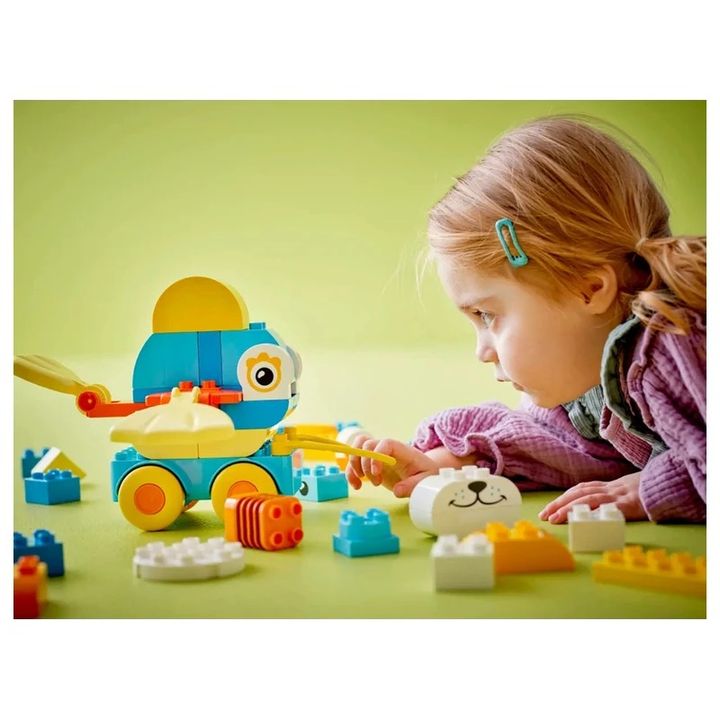 lego-duplo-10448-3in1-tskhovelebi-borblebze-58ts-photo-3