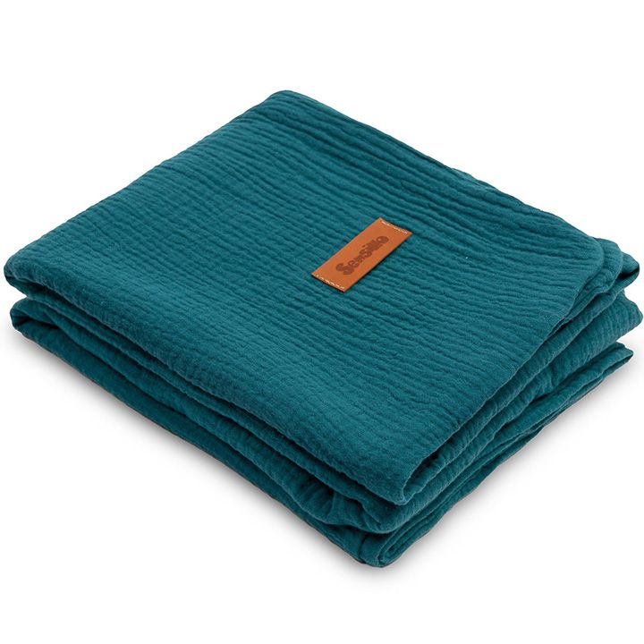 sensillo-sabavshvo-pledi