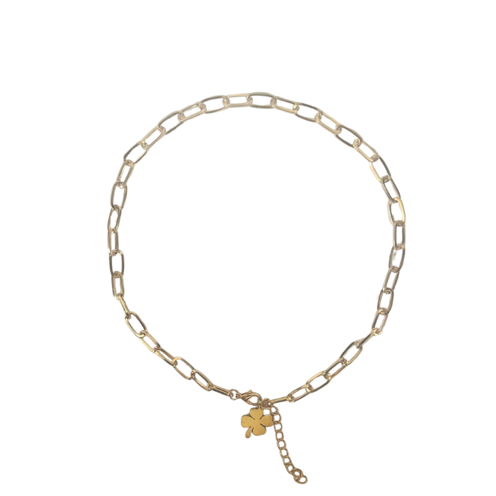 blumine-jachvis-qelsabami-qvavili-kulonit-n116