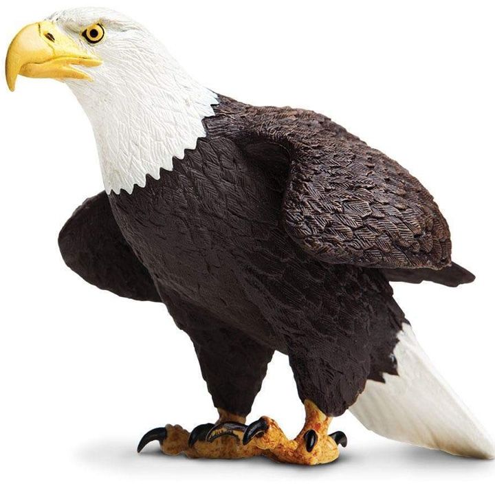 safari-bald-eagle-satamasho-figura