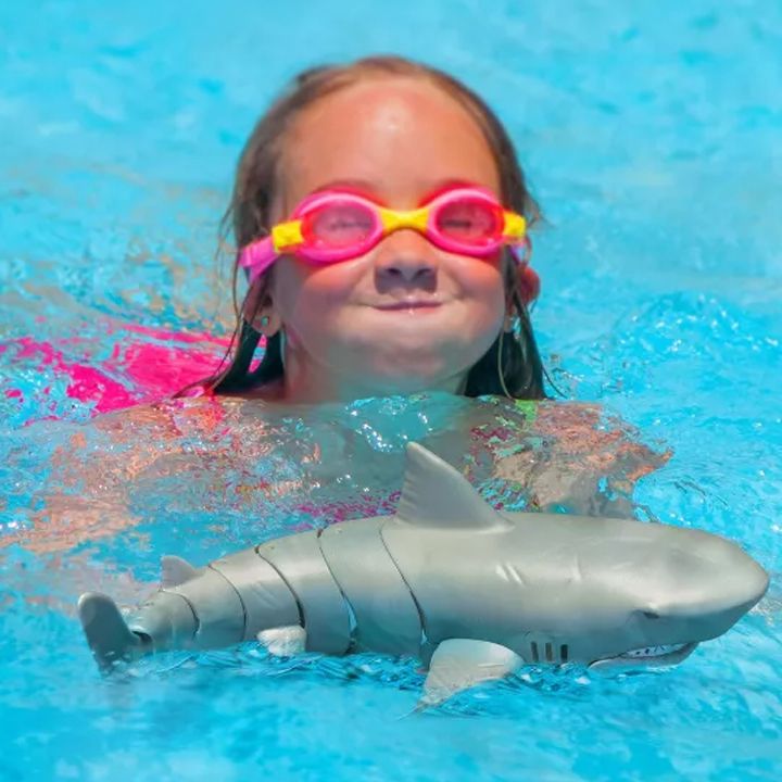 terra-distantsiurad-martvadi-zvigenis-figura-photo-3