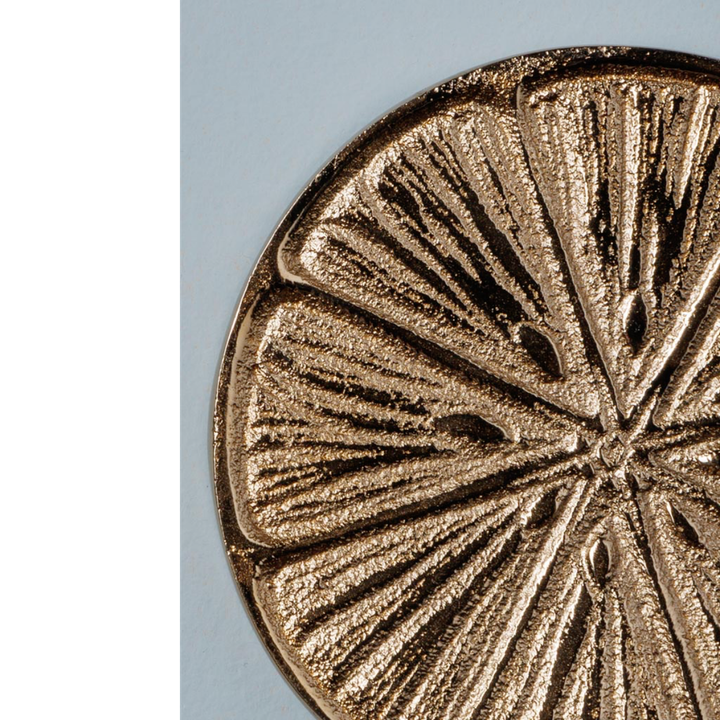 laboratory-my-home-chiqis-dasadebi-photo-4