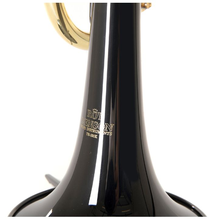 roy-benson-tr-101k-saqviri-photo-3