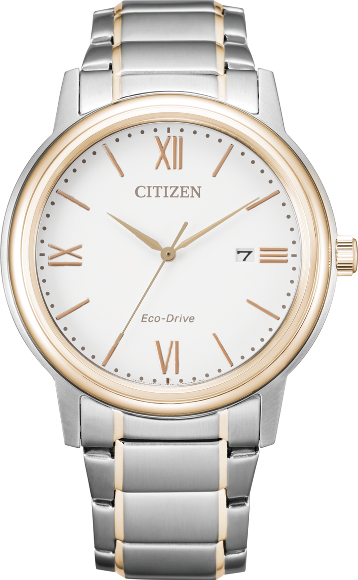 citizen-aw1676-86a-katsis-saati