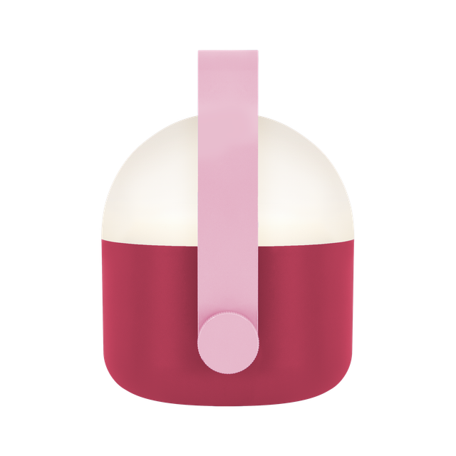 remember-sanati-ole-berry-photo-3