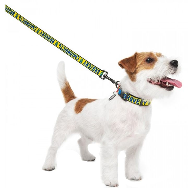 collar-dzaghlis-saqelo-photo-4