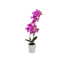 Product image of ხელოვნური ყვავილი ორქიდეა 70 სმ