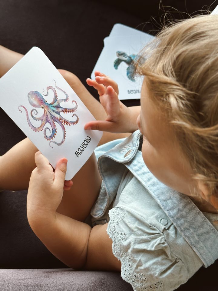 tsqlis-binadrebi---metqvelebis-baratebi-photo-2