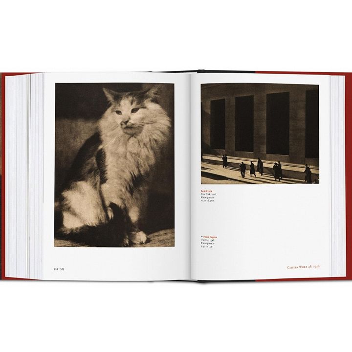 taschen-camera-work-the-complete-photographs-1903-1917-photo-2