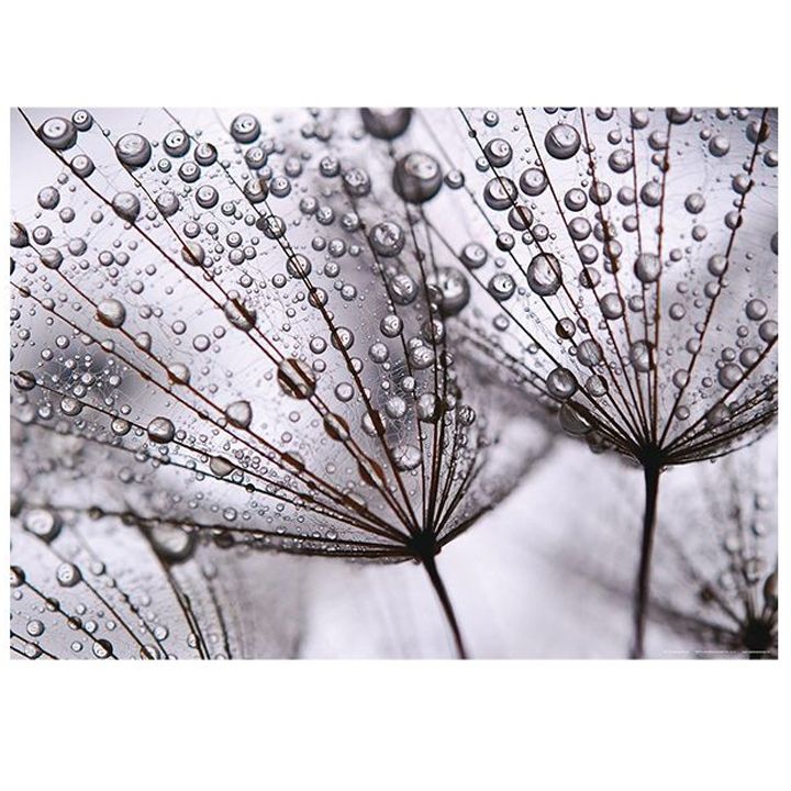 shpaleri-ftm-0494-after-rain-115x16-m