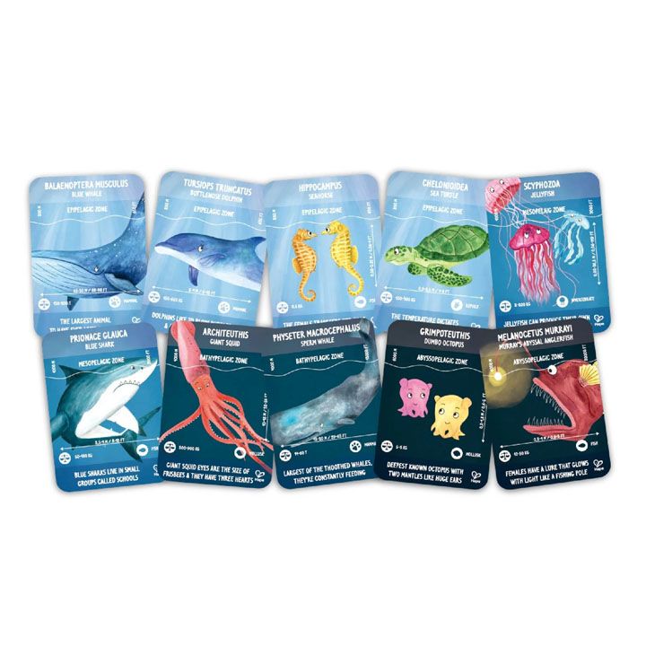 hape-ocean-life-puzzle-okeanis-tskhovreba-tavsatekhi-photo-2