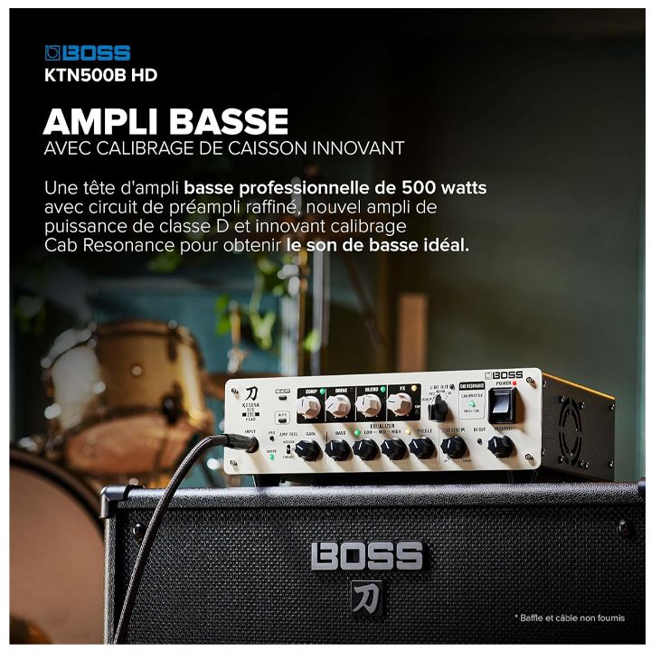 roland-ktn500b-hd-230v-eu-bas-gitaris-gamadzlierebeli-photo-2