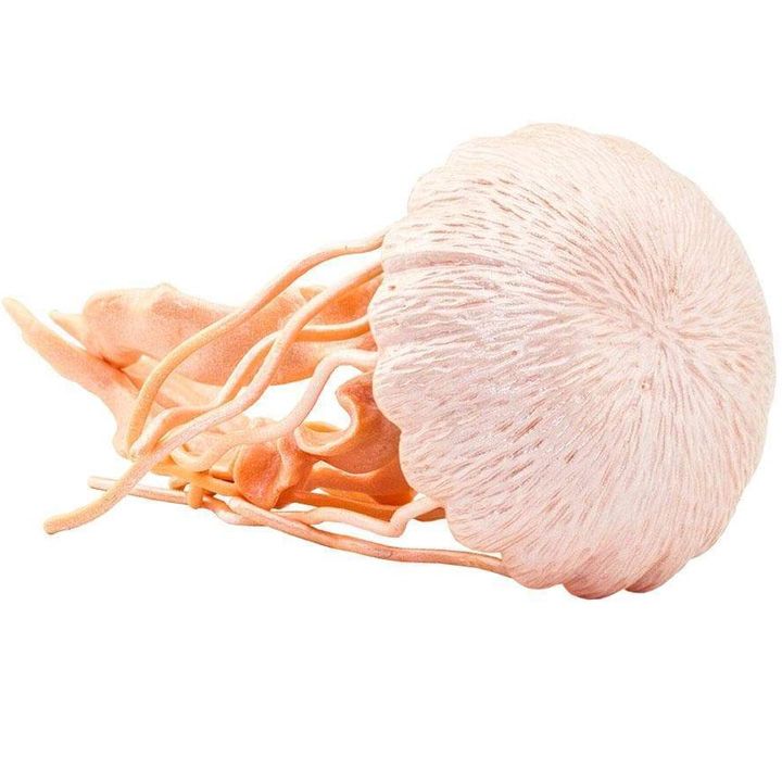 safari-jellyfish-satamasho-figura-photo-3