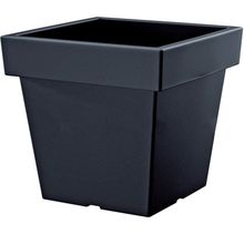 Product image of PROSPERPLAST LOFLY LOW DLOFL S433 193 მმ, შავი პლასტმასის ქოთანი ყვავილებისთვის