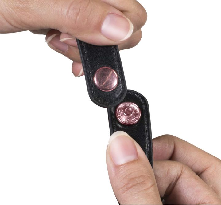 pacipocket-deluxe-rose-satsovaras-chasadebi-photo-4