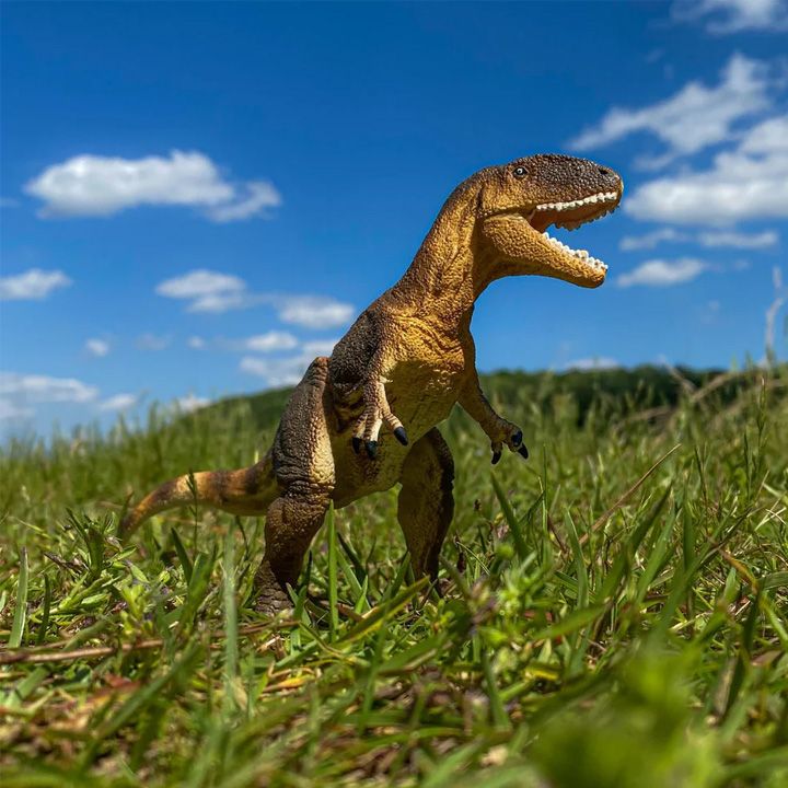 safari-carcharodontosaurus-toy-satamasho-figura-photo-4