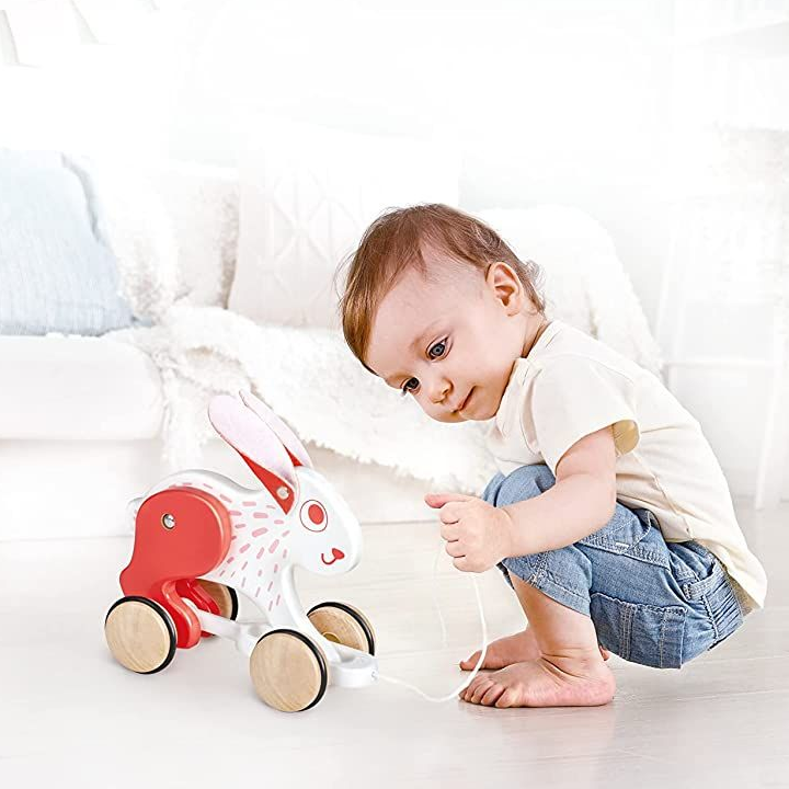 hape-bunny-pull-along-khis-satamasho-photo-3