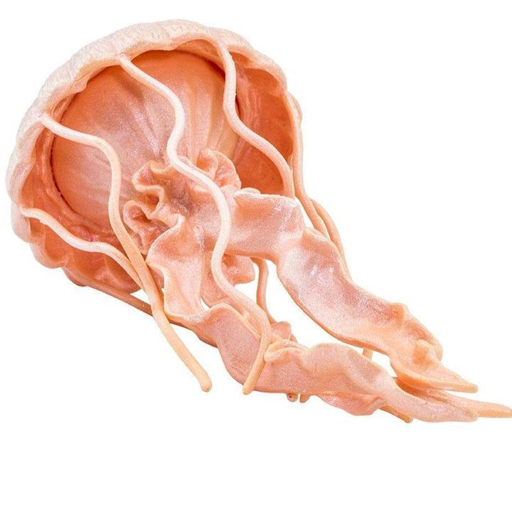 safari-jellyfish-satamasho-figura-photo-2