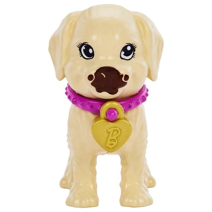 mattel-hkd86-barbis-satamasho-nakrebi-lekvis-aqvana-photo-2