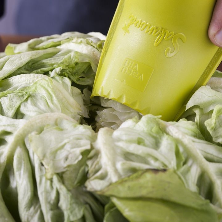 tabla-nova-salatis-sachreli-photo-3