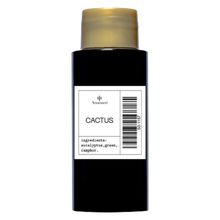 Product image of Aromaco Cactus 60მლ სურნელოვანი ეთერზეთი