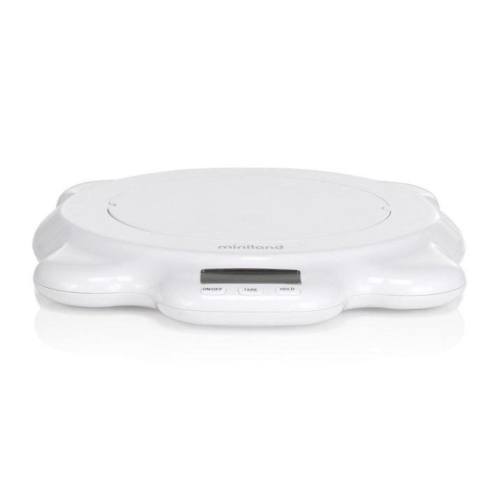 scaly-up-sabavshvo-sastsori-photo-2