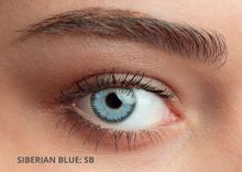Product image of Twins Queens Siberian Blue (სოლეკო - იტალია)