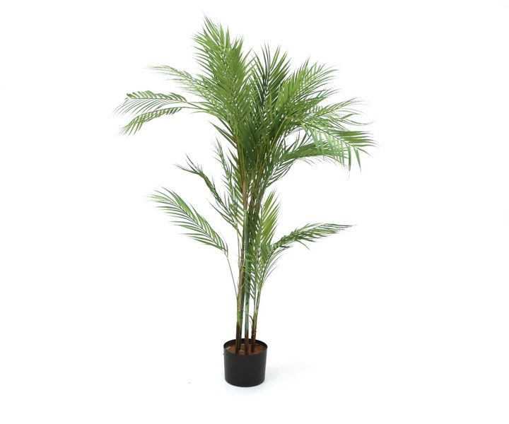 laboratory-my-home-khelovnuri-mtsenare