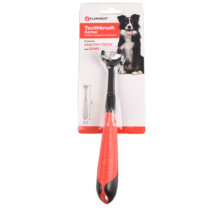 flamingo-dzaghlis-kbilis-jagrisi