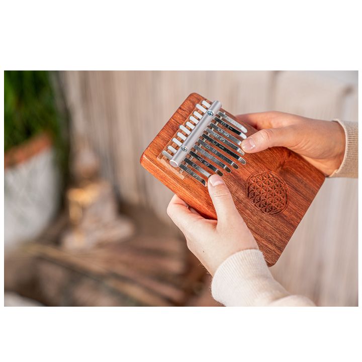 meinl-kl1002fol-kalimba-photo-2