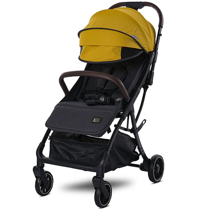 lorelli-minori-sabavshvo-etli-photo-2