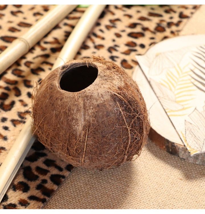 qoqosis-nachuchi-chiqa-11x11x12cm