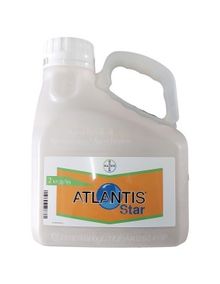 Product image of ატლანტის სტარი
