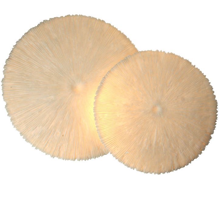 laboratory-my-home-kedlis-sanati-photo-2