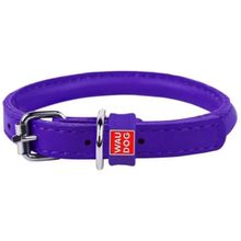 Product image of COLLAR ძაღლის საყელო
