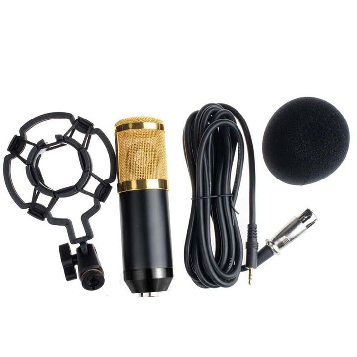 bm-800-mikrofoni-samagrit-photo-3